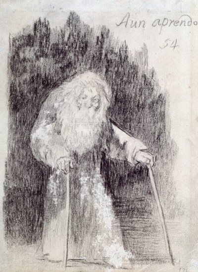 I Am Still Learning by Francisco de Goya